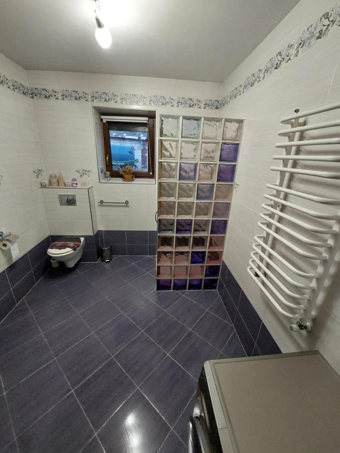 Miig Residence Jacuzzi & Sauna Zator Auschwitz Buitenkant foto